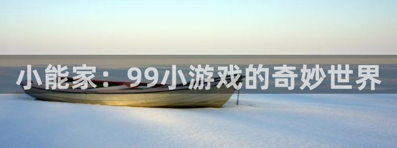  小能家：99小游戏的奇妙世界