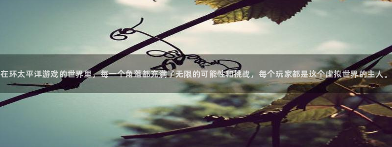 在环太平洋游戏的世界里，每一个角落都充满了无限的可能性和挑战