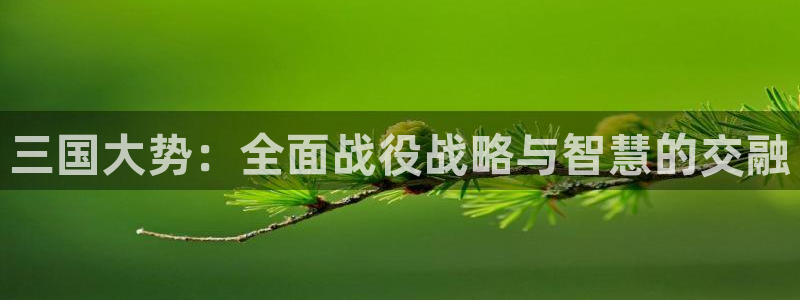  三国大势：全面战役战略与智慧的交融