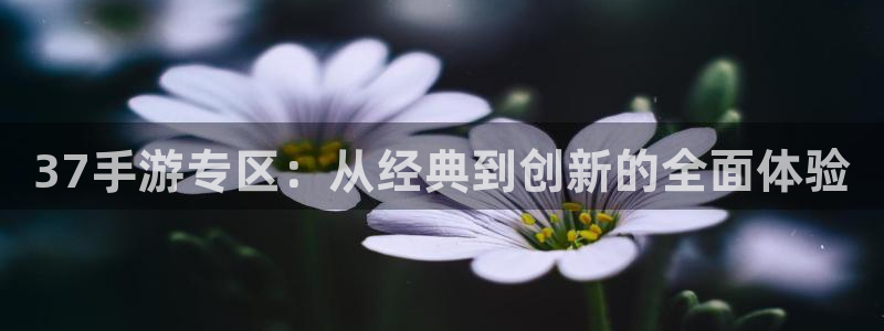  37手游专区：从经典到创新的全面体验