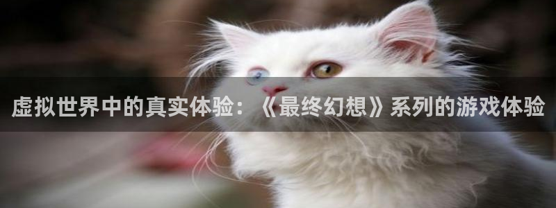  虚拟世界中的真实体验：《最终幻想》系列的游戏体验