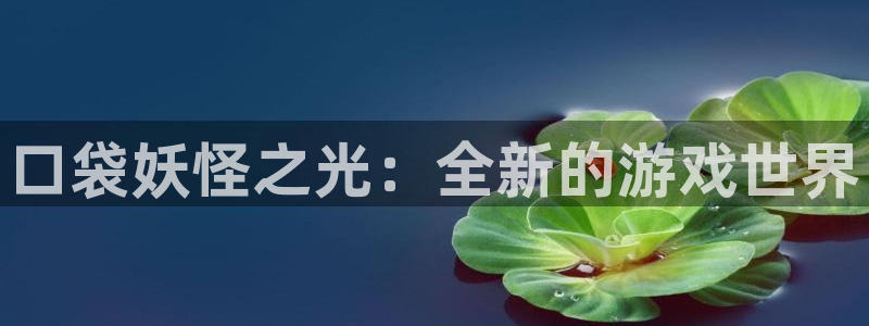 完美电竞游戏平台：口袋妖怪之光：全新的游戏世界