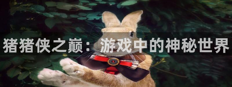 完美电竞不显示库存：猪猪侠之巅：游戏中的神秘世界
