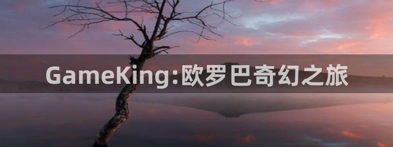 完美电竞：GameKing:欧罗巴奇幻之旅
