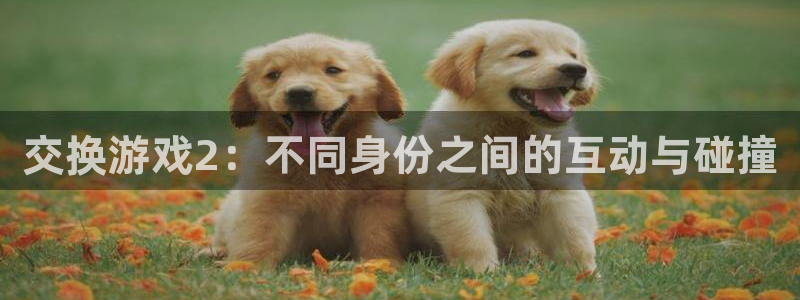 完美电竞灭神榜：交换游戏2：不同身份之间的互动与碰撞