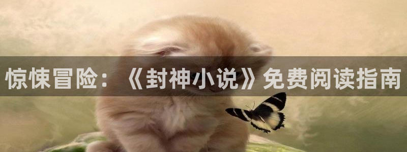  完美电竞app怎么绑定steam：惊悚冒险：《封神小说》免费