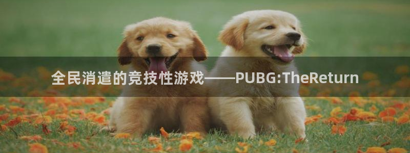  完美电竞平台天梯名字前缀深潜者怎么获得?：全民消遣的竞技性游