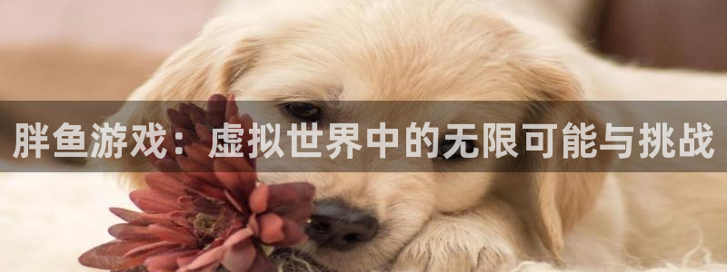  完美电竞平台官网登录：胖鱼游戏：虚拟世界中的无限可能与挑战