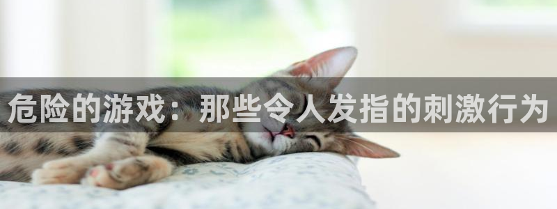 完美电竞b是多少分：危险的游戏：那些令人发指的刺激行为