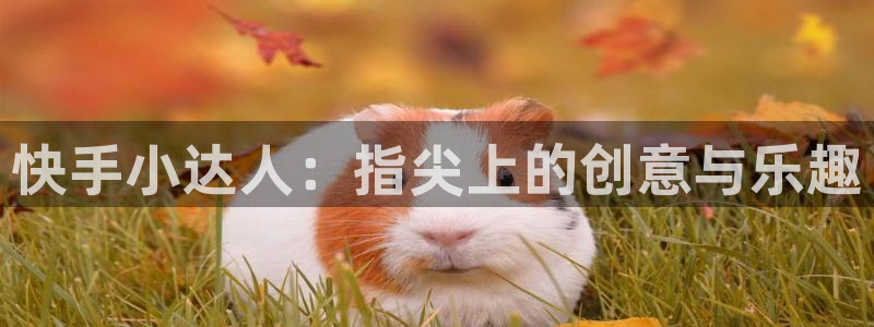  完美电竞平台c段位相当于什么：快手小达人：指尖上的创意与乐趣